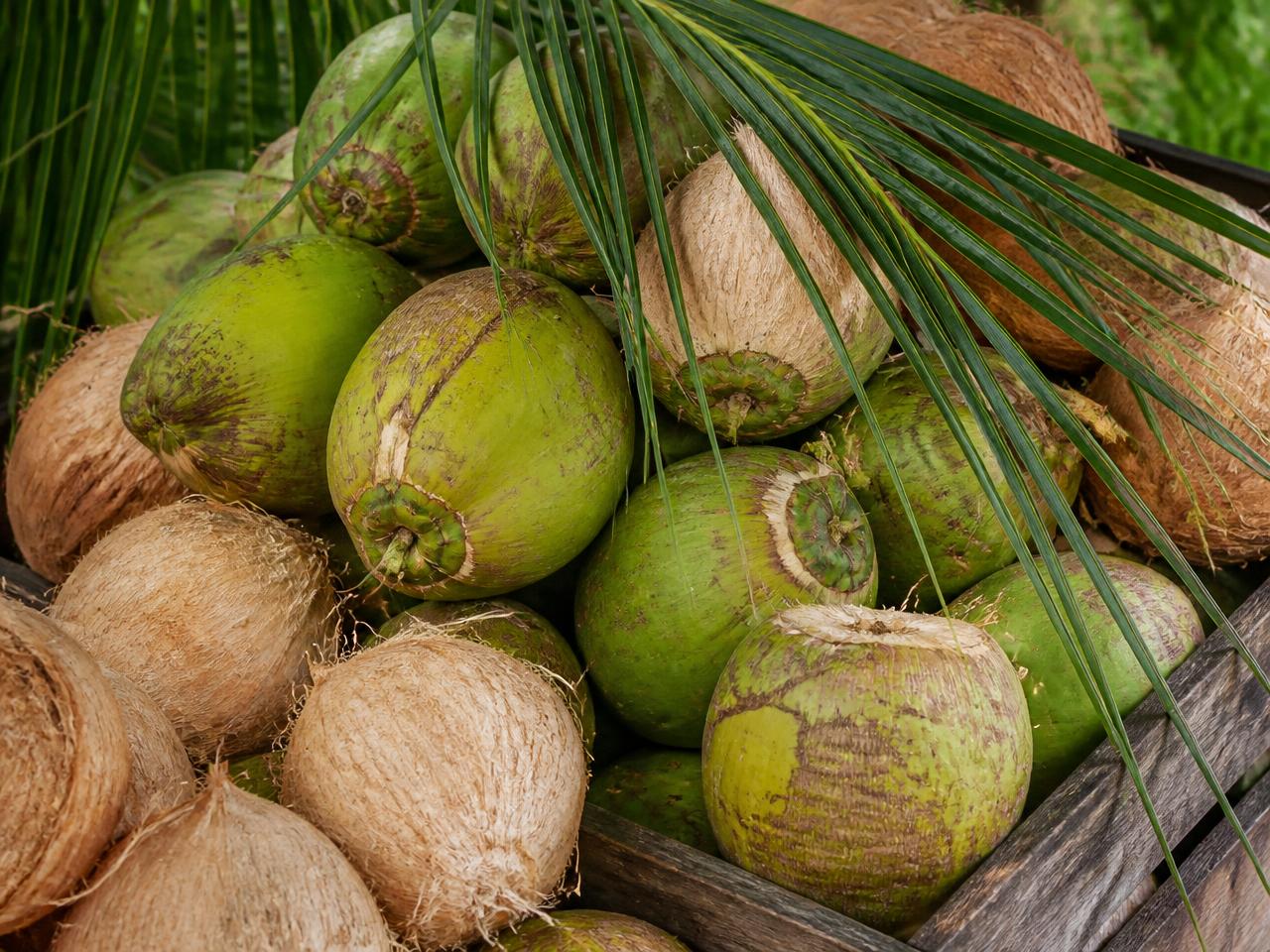 Coconut Products