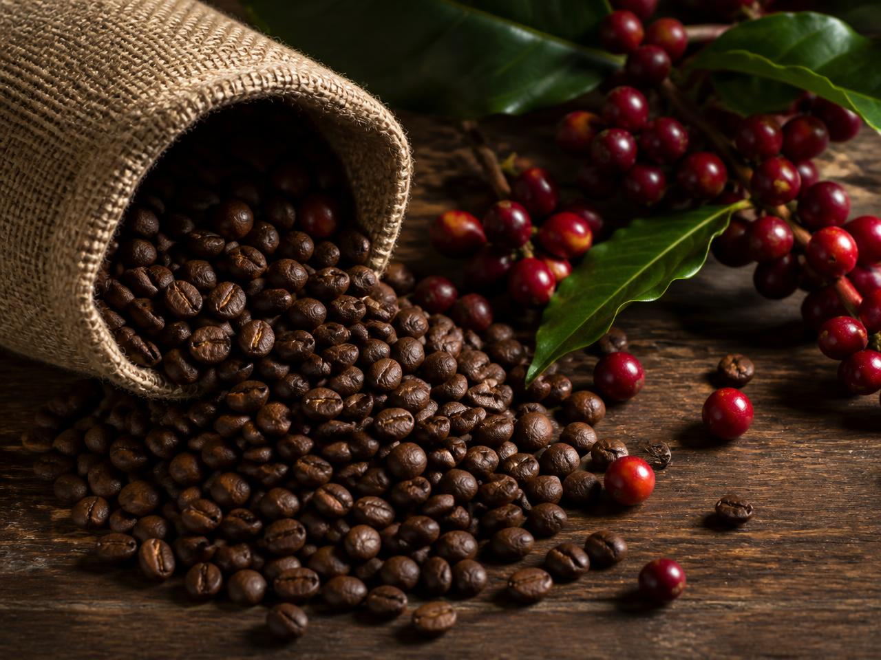 Araku Coffee